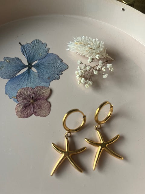 Boucles d'oreilles ·CANCALE·